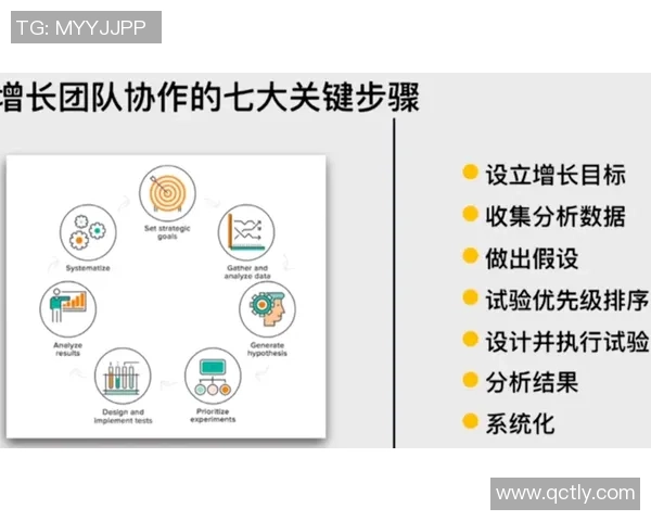 上海排球队的团队协作精神与战术配合探讨