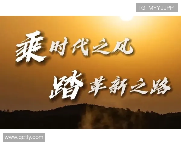 广州排球队快攻革新之路：战术创新与团队协作的完美结合