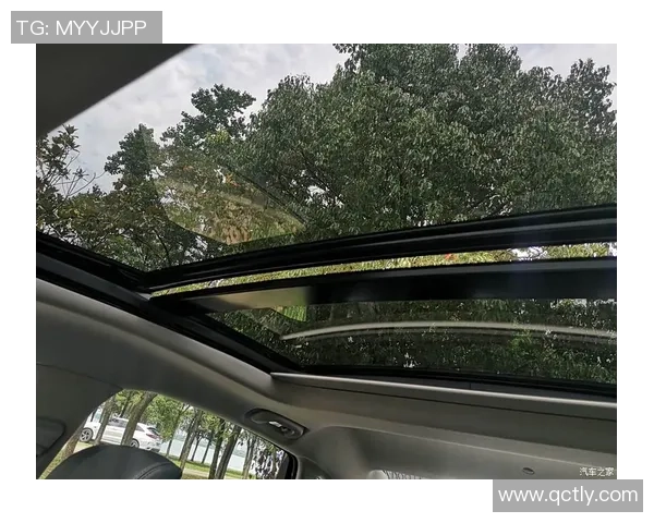 武汉极限运动队战术分析与发展策略探讨 武汉极限运动队战术分析与发展策略探讨