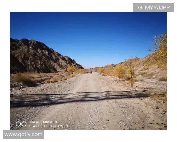 陈秀英的和平精英之路：从新手到职业选手的成长与挑战