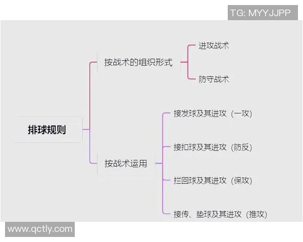杭州排球队战术表现深度分析与数据解读探讨